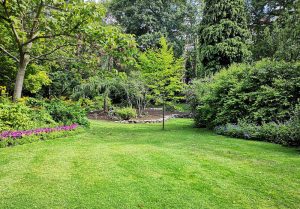 Optimiser l'expérience du jardin à Savigne-sur-Lathan